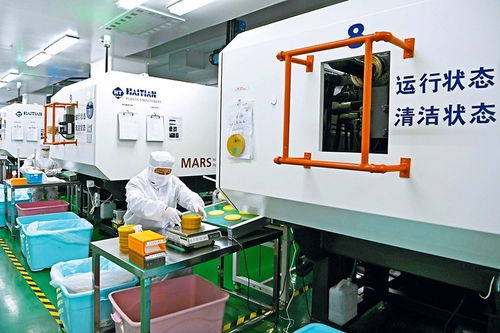 結對合作助轉型，數字技術賦能企業新飛躍